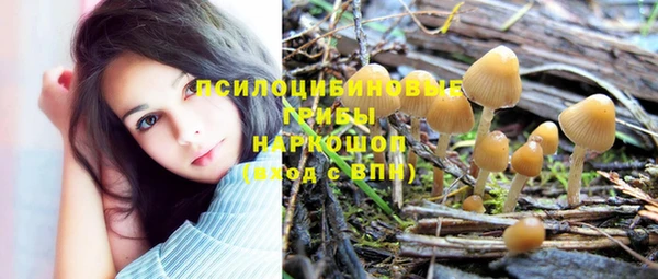 бошки Киреевск