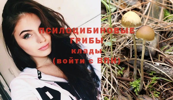 мдма Кинешма