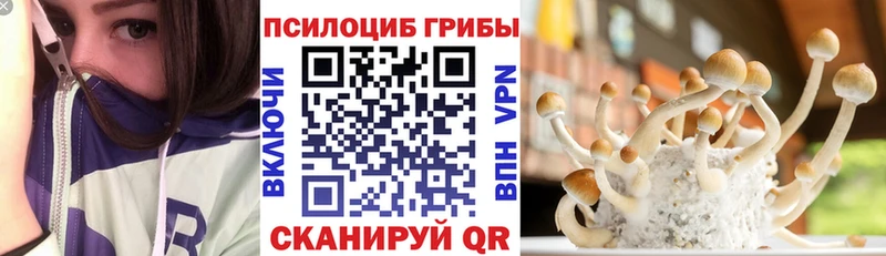 хочу   Новошахтинск  Псилоцибиновые грибы мухоморы 